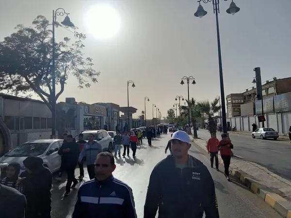 جانب من الفاعلية 