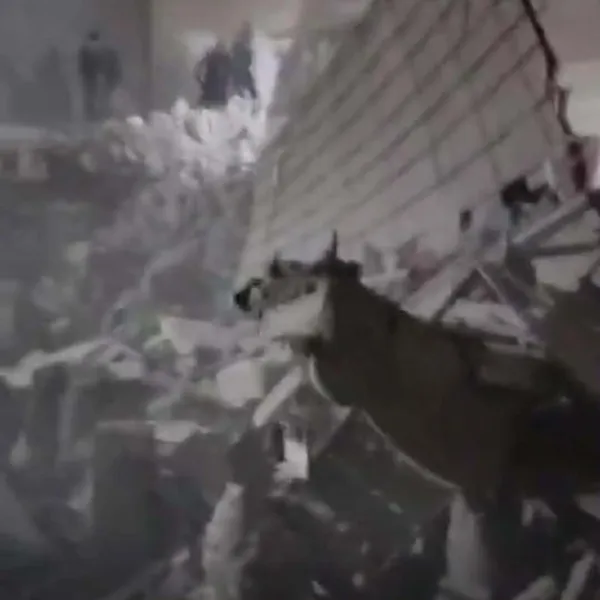 جانب من انهيار العقار 