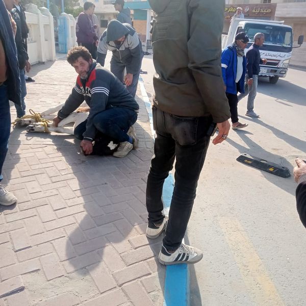 حملة مكبرة علي الماشية بمطروح 