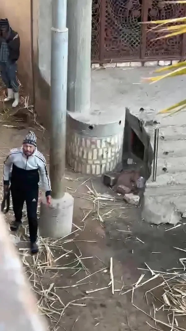 صور الاشخاص 