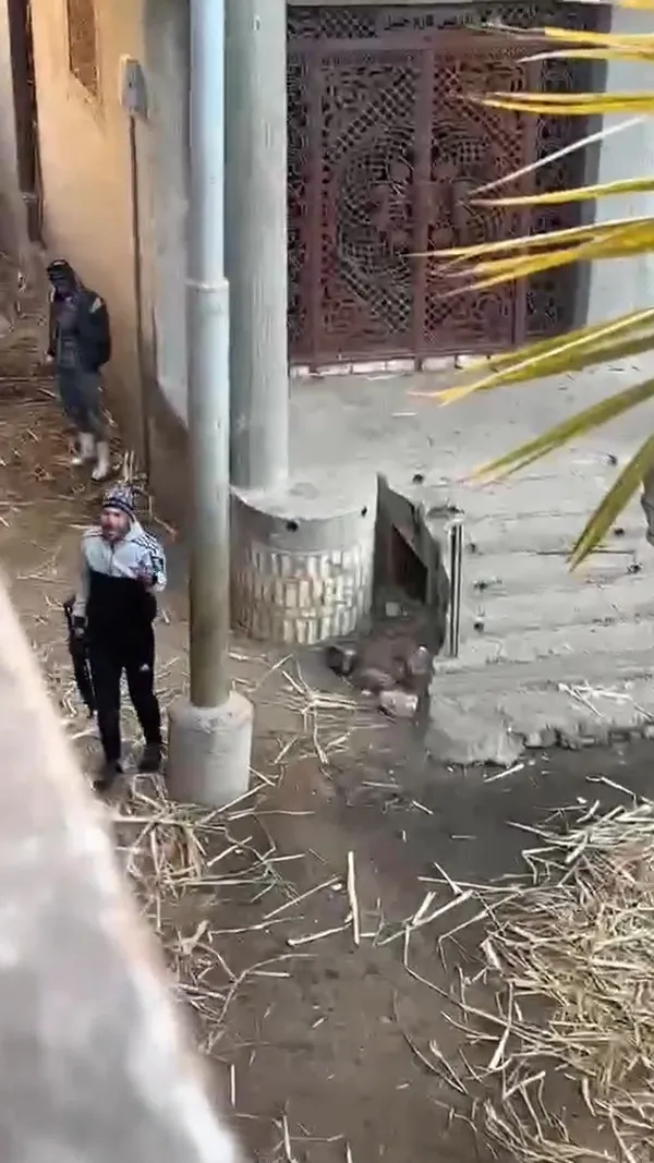 صور الاشخاص 