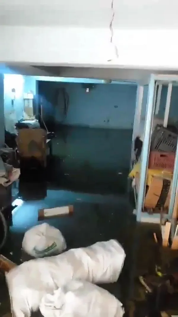 صور المنازل 