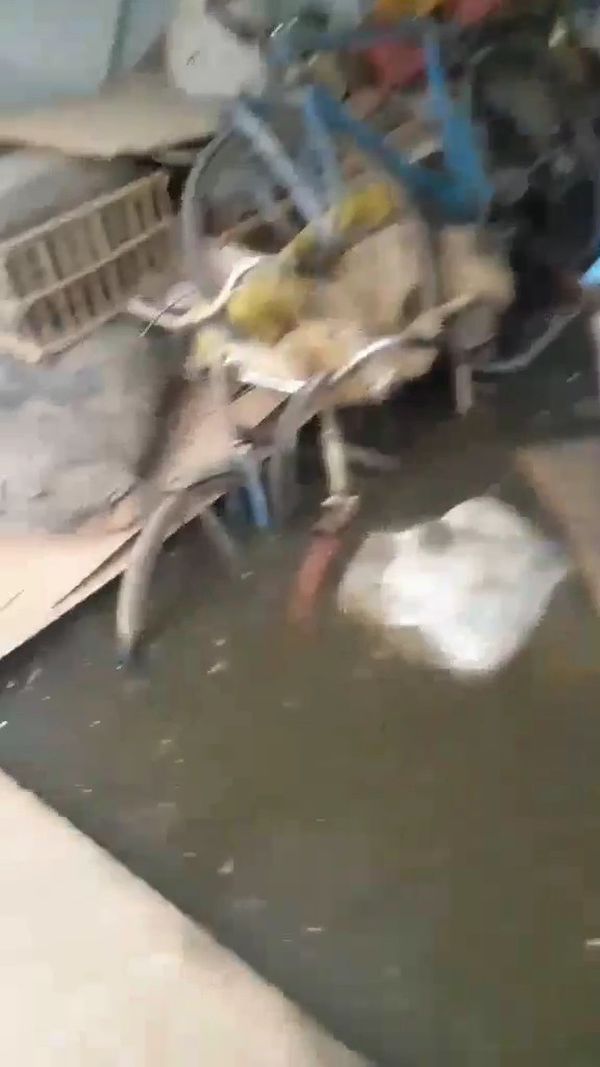 صور المنازل 