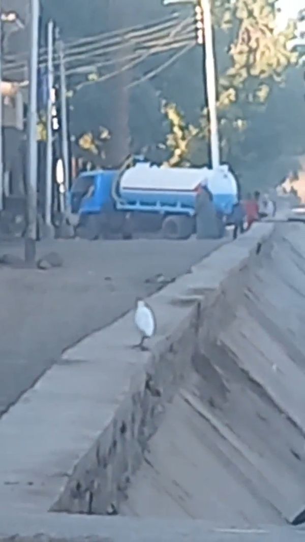 صور الواقعه