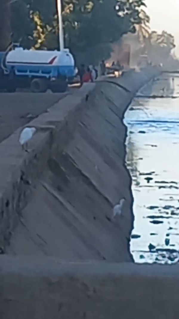 صور الواقعه