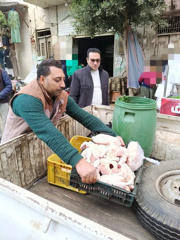 ضبط دواجن فاسدة 