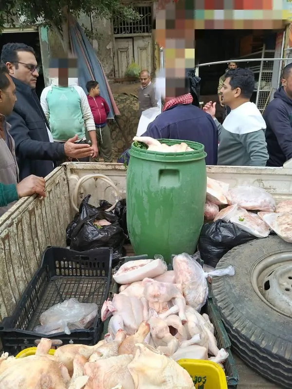 ضبط دواجن فاسدة 