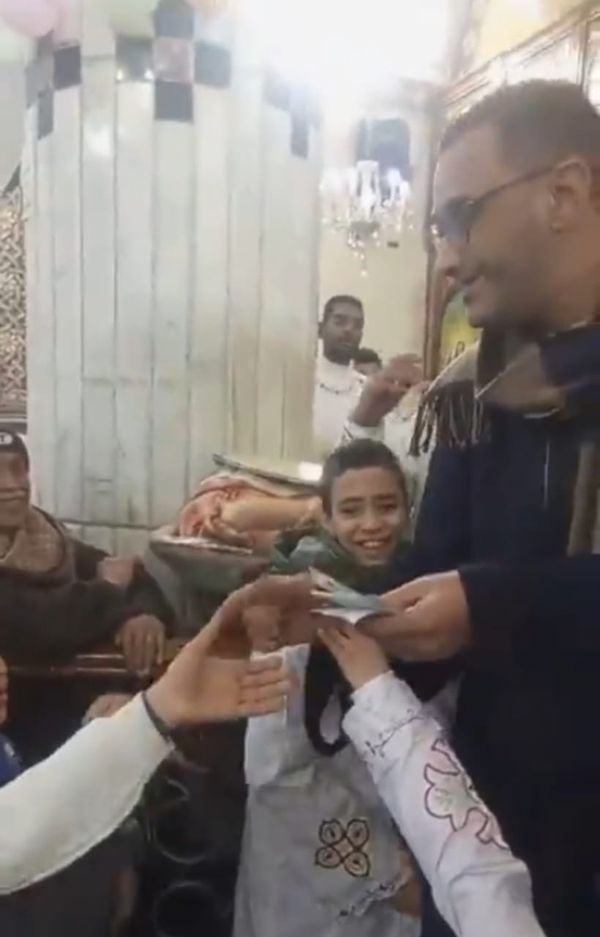 عمده القلمينا 