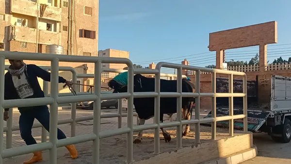 محافظ كفرالشيخ: التشغيل التجريبي لمجزر دسوق تمهيدًا لافتتاحه