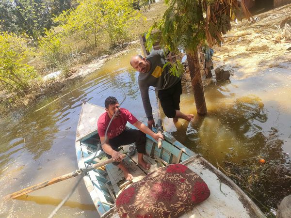 مركب ارشيفيه 