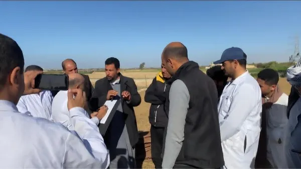 نفوق ماشية بمطروح 