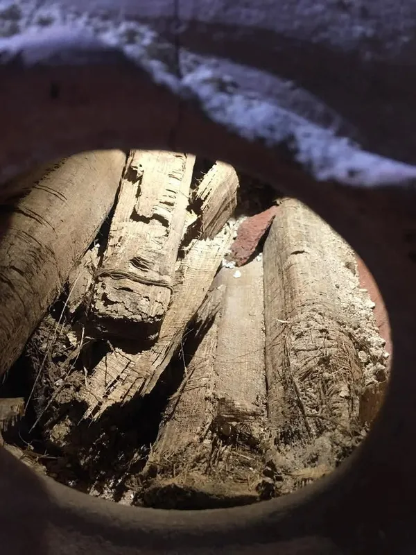 جانب من الاكتشاف