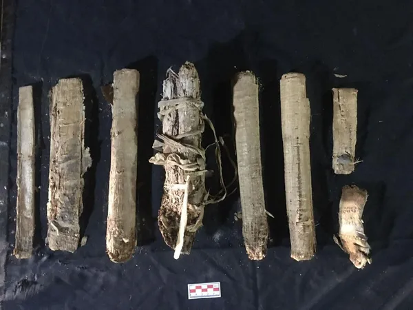 جانب من الاكتشاف