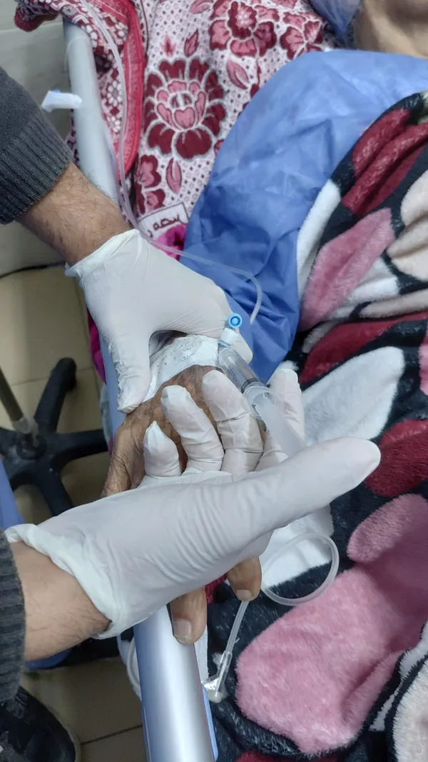 صحة المنوفية 