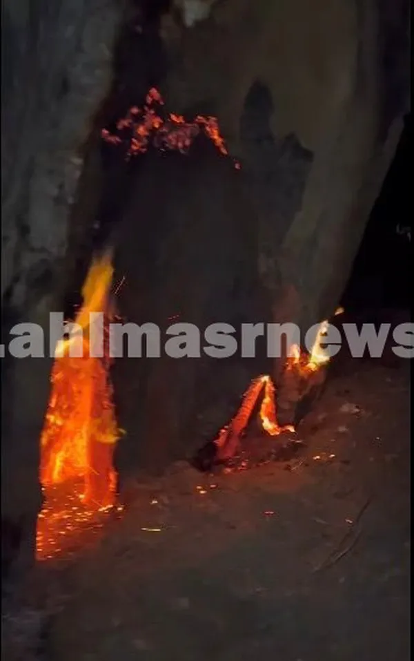 صور حريق أشجار بالاسماعيليه 