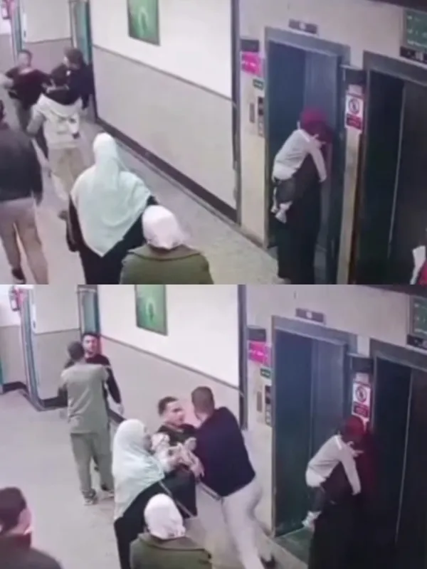 طبيب المنوفية 