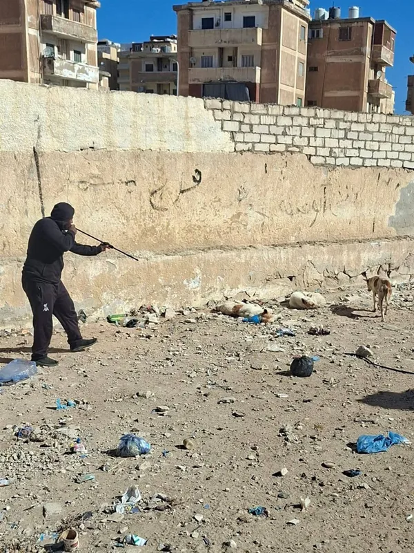 محافظة مطروح 