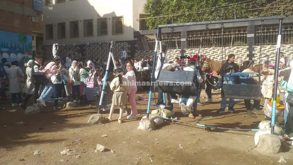 إقبال على الملاهي الشعبية بكفر الشيخ 