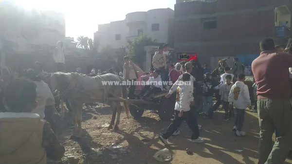 احتفالات عيد الفطر بكفر الشيخ 