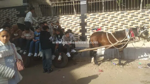 احتفالات عيد الفطر بكفر الشيخ 