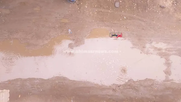 آثار الأمطار بشوارع كفر الشيخ 