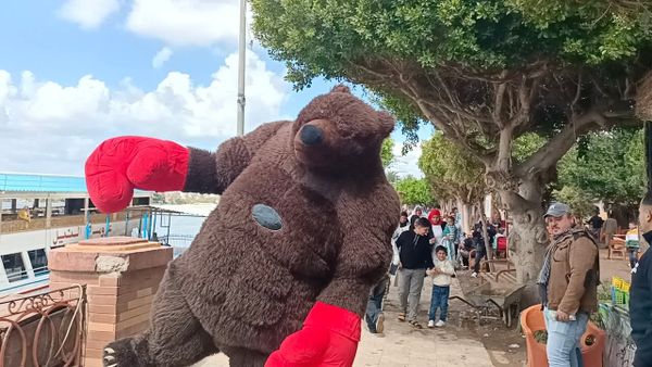 جانب من الاحتفالات 