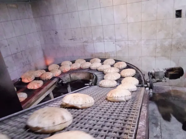 جانب من الحملات 