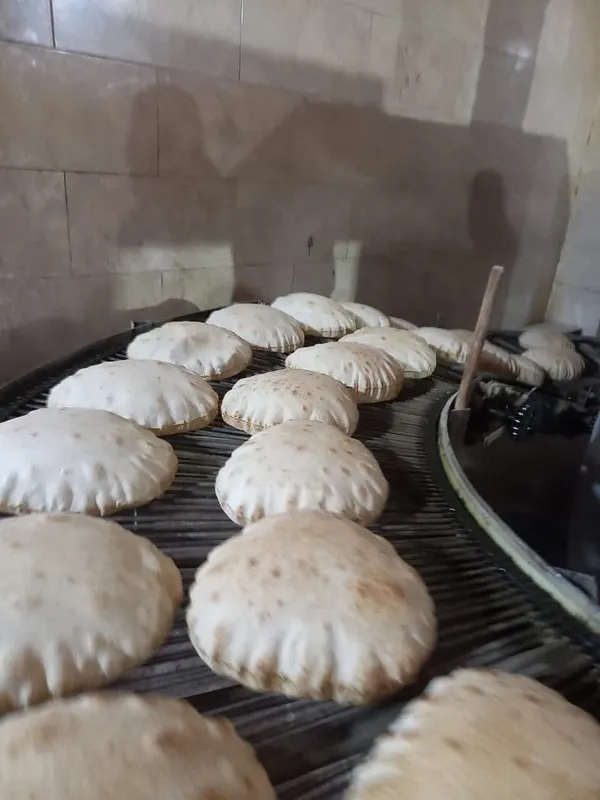 جانب من الحملات 