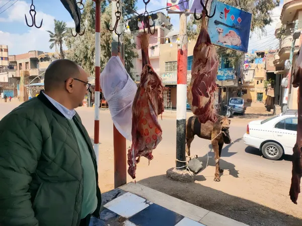 جانب من الحملات 