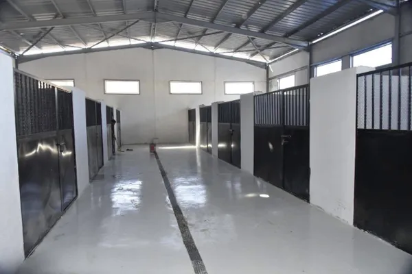 شلتر لإيواء الكلاب الضاله ببورسعيد