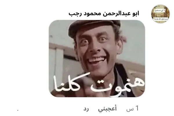 صورة من تعليق أحد المصريين