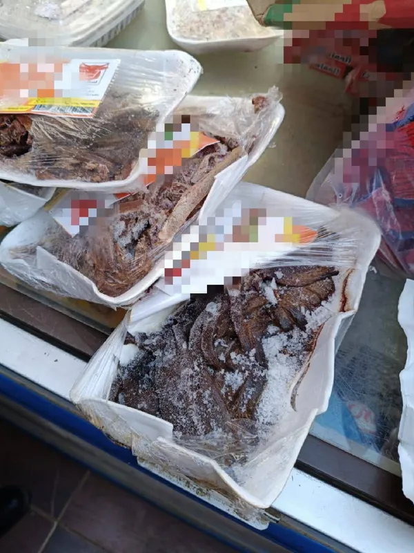 ضبوطات المنوفية 