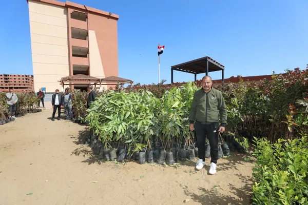محافظ كفرالشيخ يدشن حملة لزراعة 50 ألف شجرة مثمرة بقرى مركز الرياض