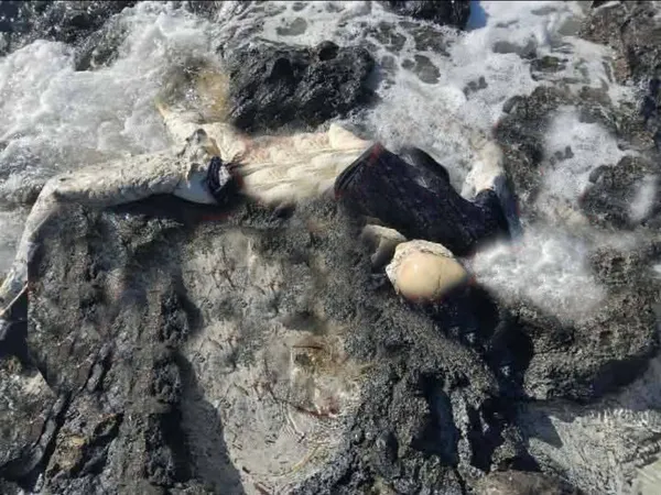 محافظة مطروح 