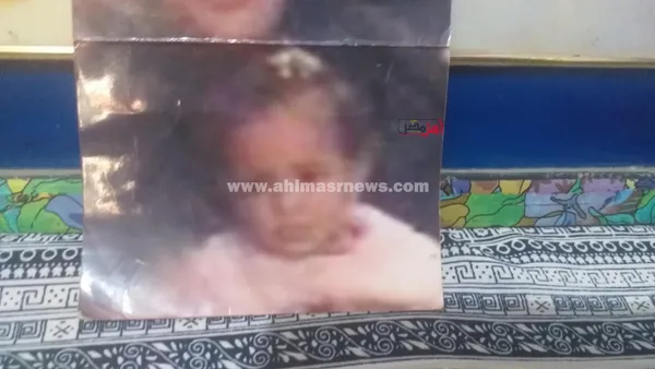 أسرة آلاء عنان، الفتاة المتغيبة 