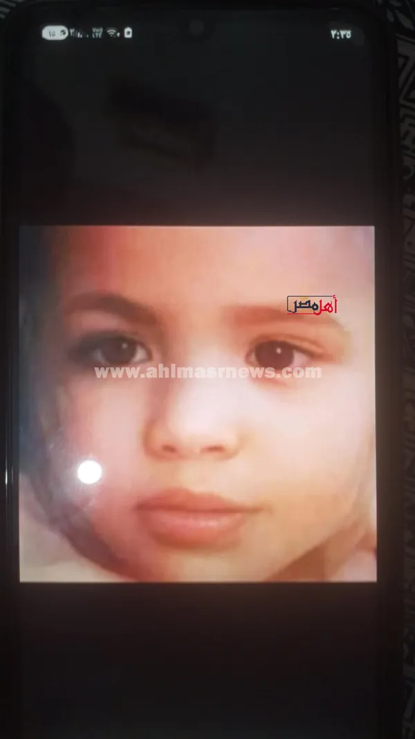 أسرة آلاء عنان، الفتاة المتغيبة 