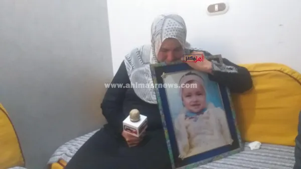 أسرة آلاء عنان، الفتاة المتغيبة 