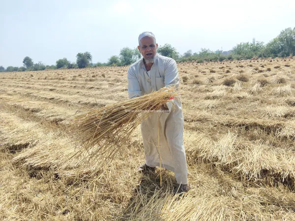 أصحاب الأرض 