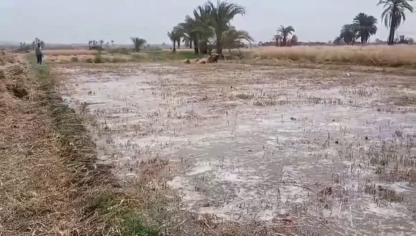 الاراضي الزراعيه 