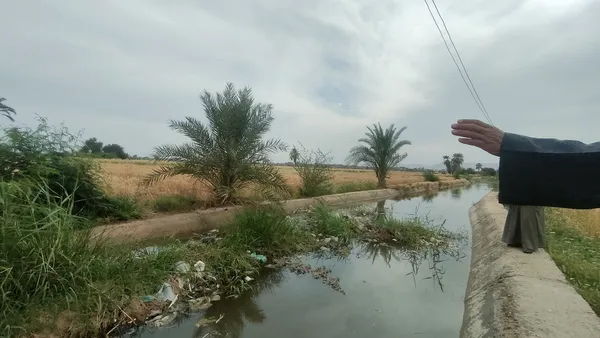 الاراضي الزراعيه 