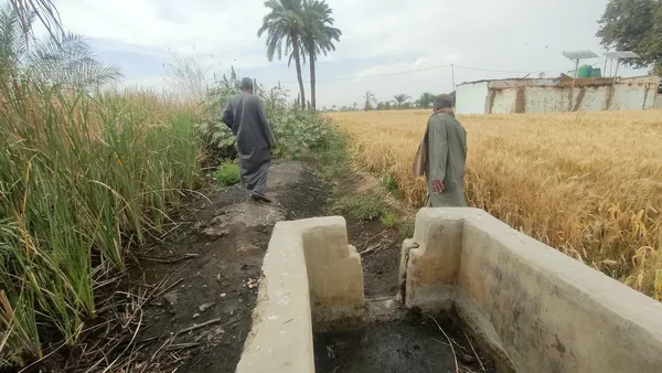 الاراضي الزراعيه 