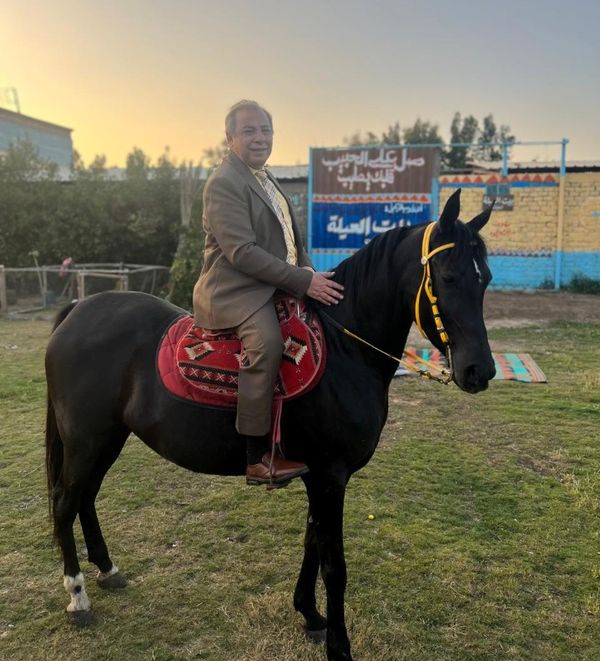 الدكتور طه عبدالوهاب