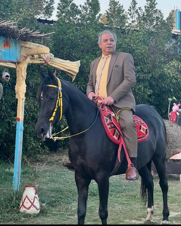 الدكتور طه عبدالوهاب