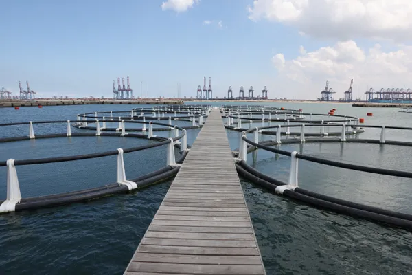 الفريق أسامة ربيع يبحث سبل التعاون مع محافظ بورسعيد في عدد من المشروعات التنموية والخدمية