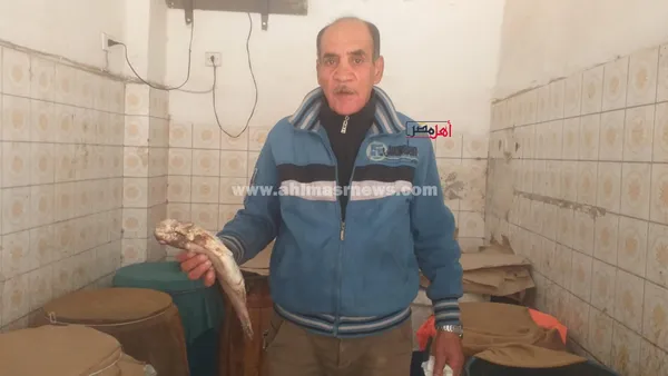 انتعاشة في سوق أسماك الملوحة بكفر الشيخ قبل شم النسيم 