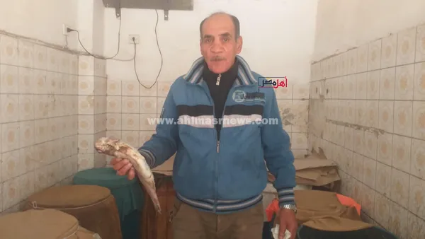 انتعاشة في سوق أسماك الملوحة بكفر الشيخ قبل شم النسيم 