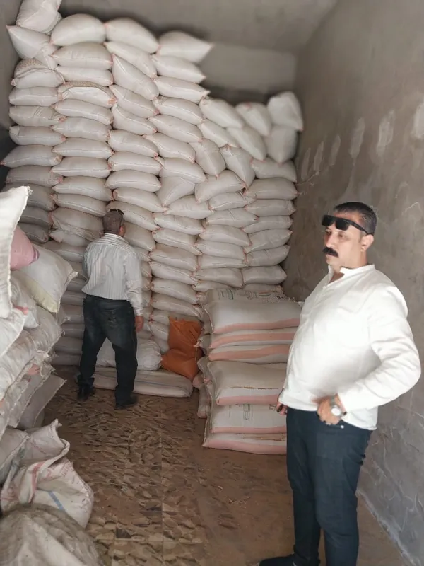 توريد القمح 