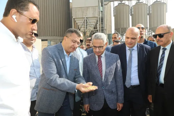 توريد القمح ببنى سويف 