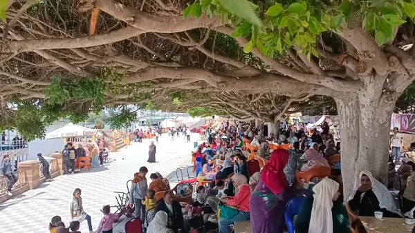 جانب من الاحتفالات 