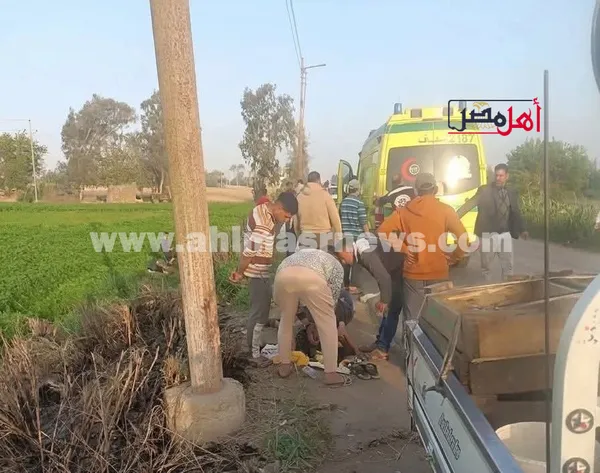 جانب من الحادث 